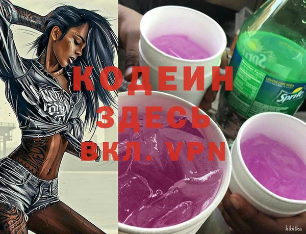 шишки Абаза