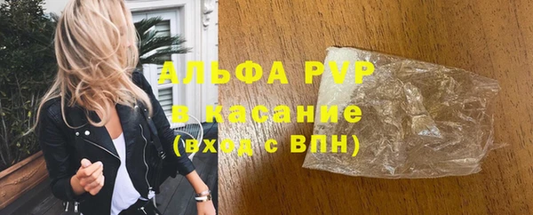 шишки Абаза
